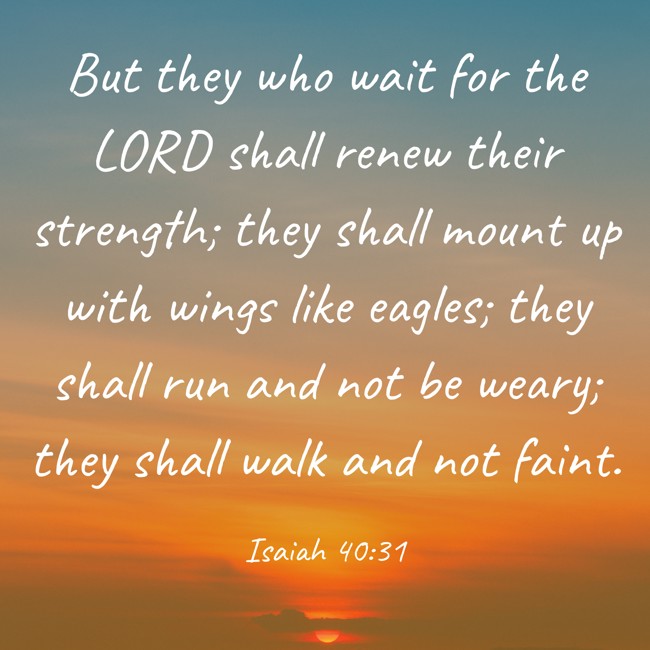 But they who wait for the LORD shall renew their strength; they shall mount up with wings like eagles; they shall run and not be weary; they shall walk and not faint. - Isaiah 40:31