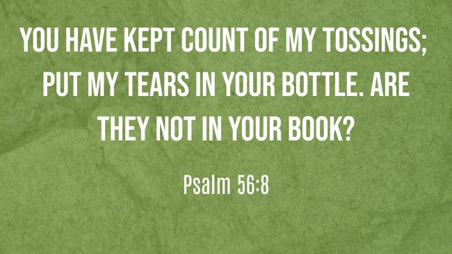 You have kept count of my tossings; put my tears in your bottle. Are they not in your book? - Psalm 56:8