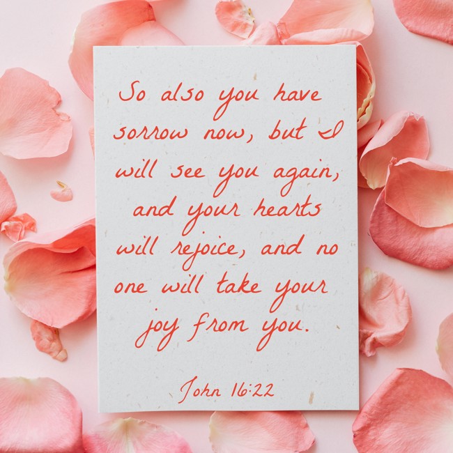 So also you have sorrow now, but I will see you again, and your hearts will rejoice, and no one will take your joy from you. - John 16:22