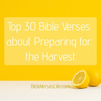 Top 30 Bible Verses about Preparing for the Harvest