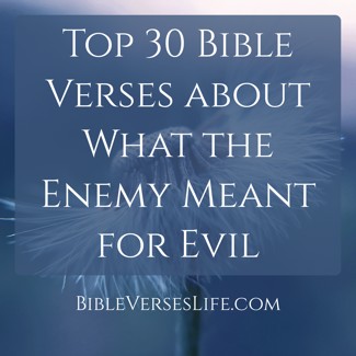 Top 30 Bible Verses about What the Enemy Meant for Evil