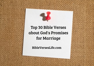 Top 30 Bible Verses about God’s Promises for Marriage