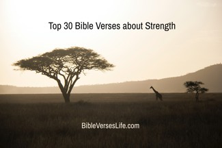 Top 30 Bible Verses about Strength