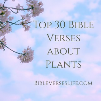 Top 30 Bible Verses about Plants