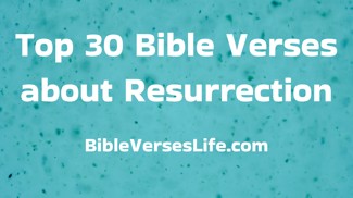 Top 30 Bible Verses about Resurrection
