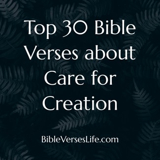 Top 30 Bible Verses about Care for Creation