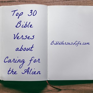 Top 30 Bible Verses about Caring for the Alien