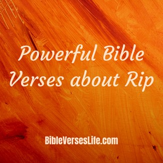 Powerful Bible Verses about Rip