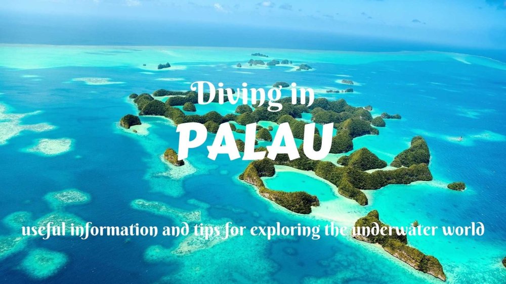 10 Breathtaking Tourist Places to Visit in Palau – Tourist Places