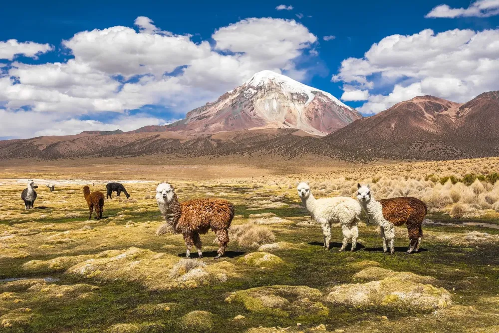 Experience the Beauty of Sucre: 10 Best Tourist Places