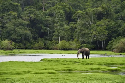 Experience the Beauty of Makokou: 10 Best Tourist Places