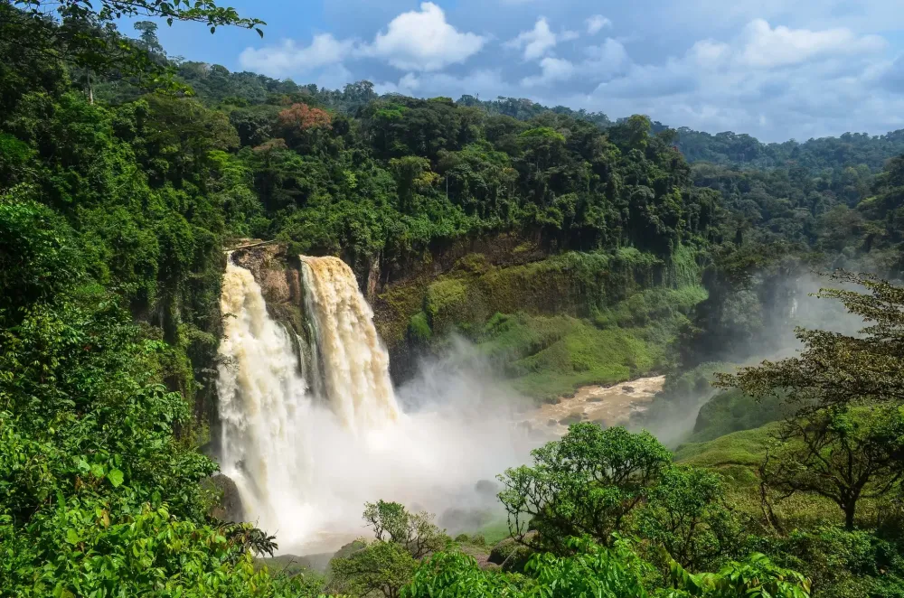 Experience the Beauty of Bafut: 10 Best Tourist Places