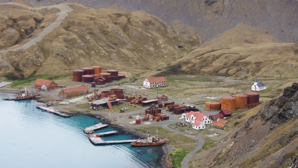 Top 10 Places to Visit in Grytviken – Nature, Adventure, and History