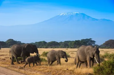 Experience the Beauty of Kajiado: 10 Best Tourist Places