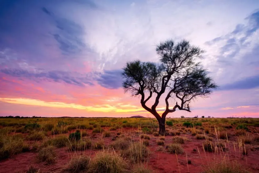 Top 10 Places to Visit in Woomera – Nature, Adventure, and History