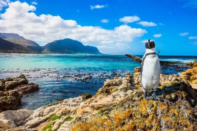 Saldanha Travel Guide: Top 10 Must-Visit Tourist Places