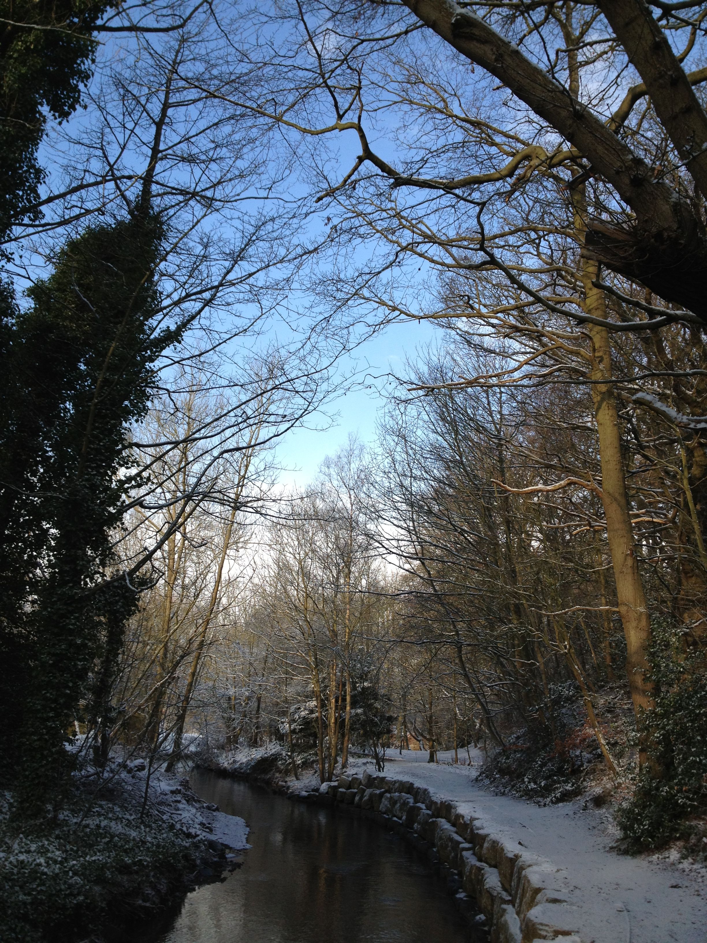 Top 10 Places To Visit In Ponteland Nature Adventure And History 