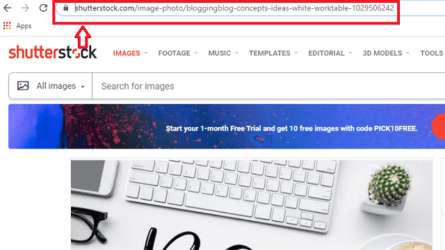 How to Download Shutterstock Icons Without a Watermark