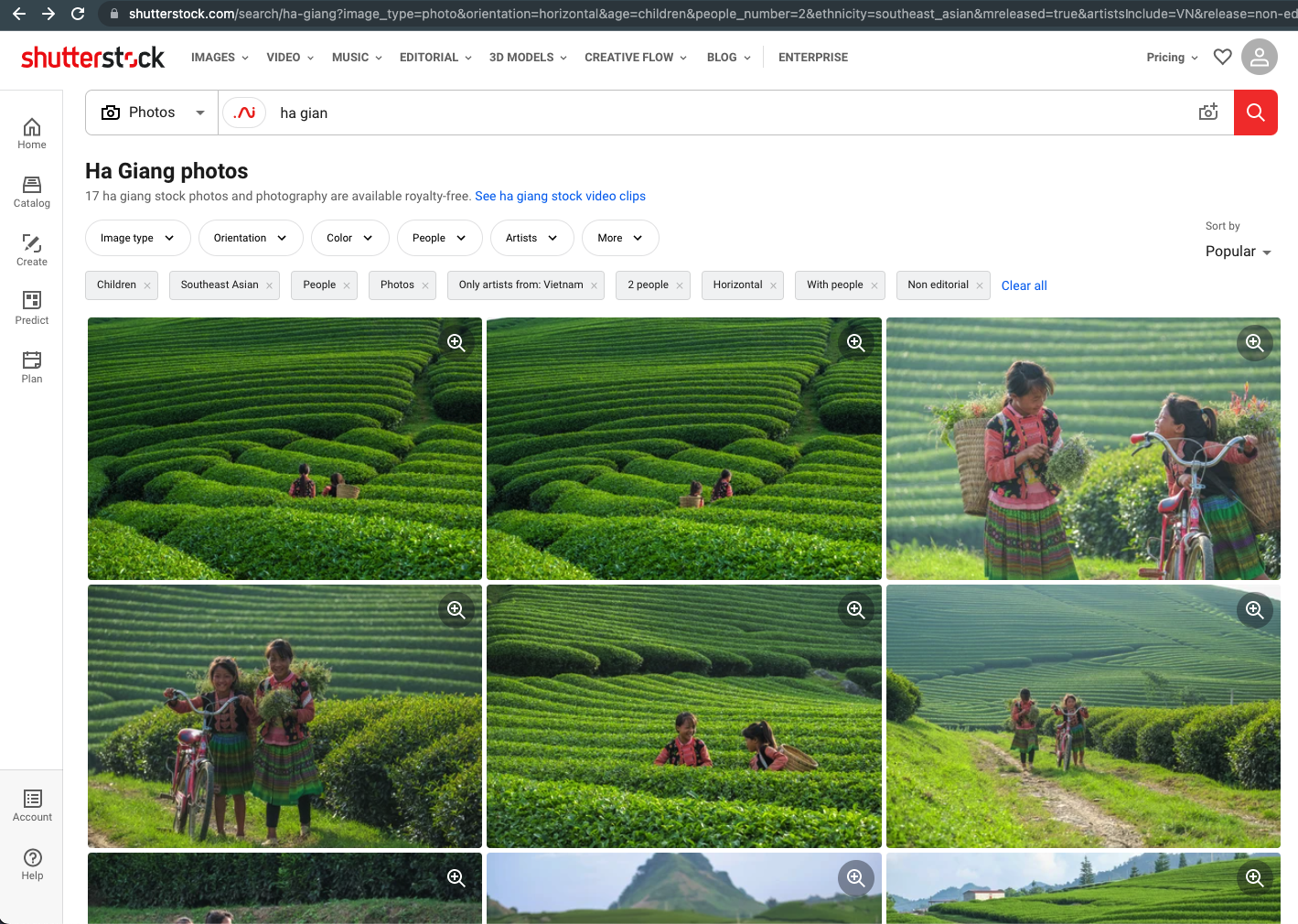 Shutterstock Image Search: Tips for Finding Free Content