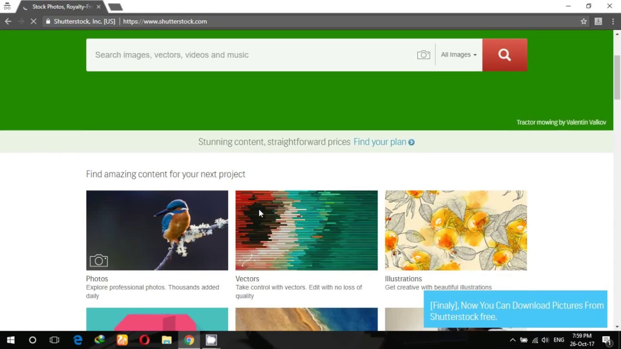 Download Shutterstock Images Easily One click download Chrome 