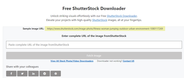 Best Free Shutterstock Downloader Tools in 2025