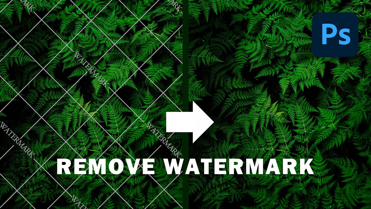 Shutterstock Watermark Remover