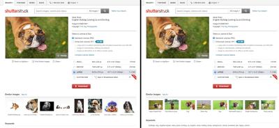 Shutterstock Image Search: Tips for Finding Free Content