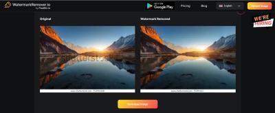 How to Remove Watermarks from Shutterstock Videos Online