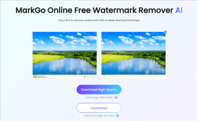 Shutterstock Watermark Remover: Free Online Tools