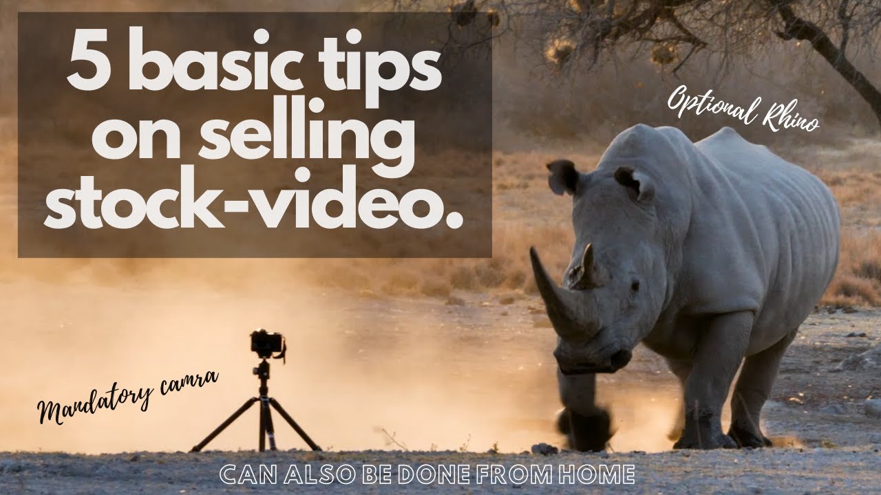 How to Sell Stock Footage on Shutterstock for Beginners