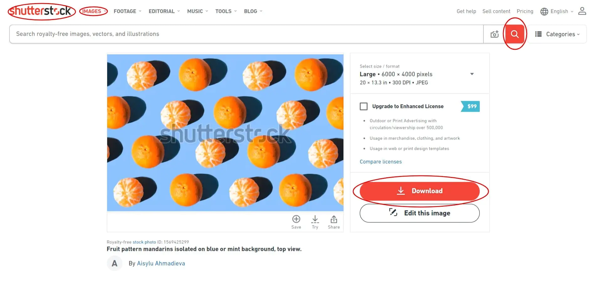 How to Make a Stock Photo Website like Shutterstock Aimprosoft