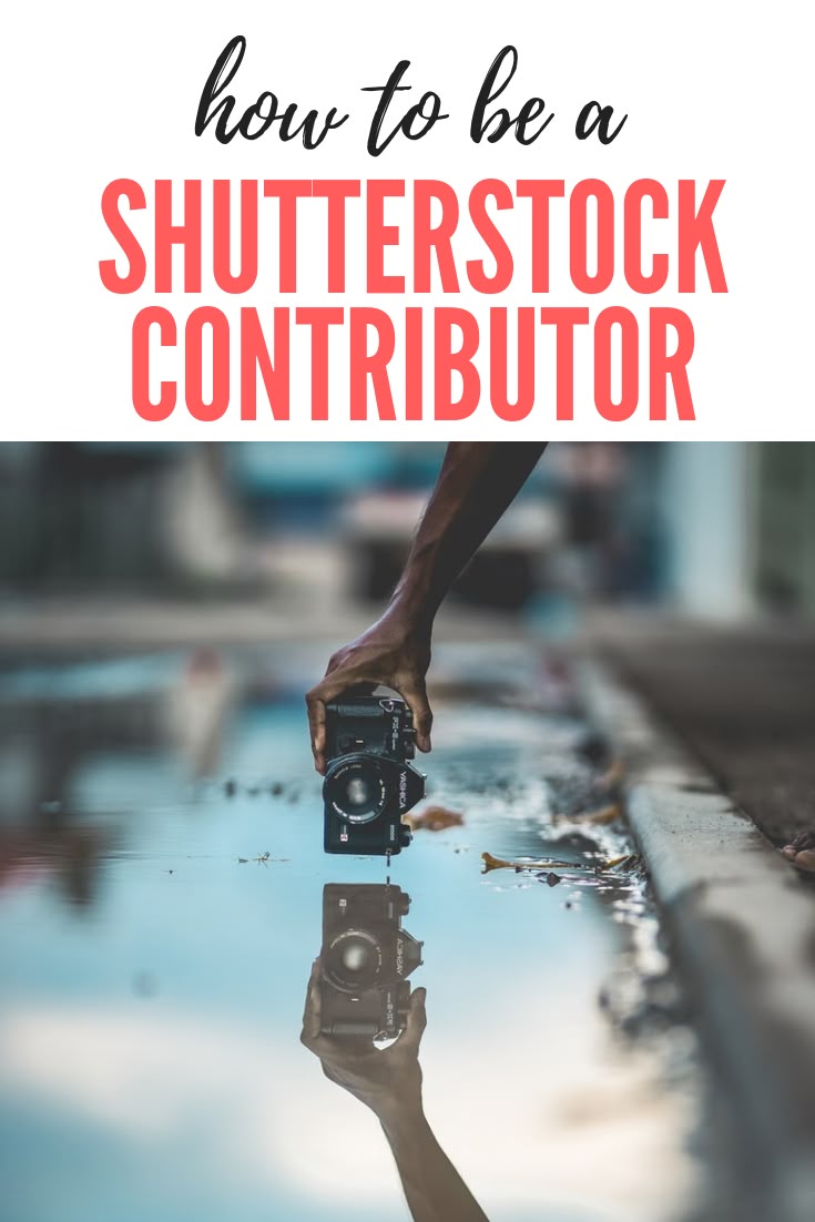 How Does Shutterstock Contributor Work for New Photographers?