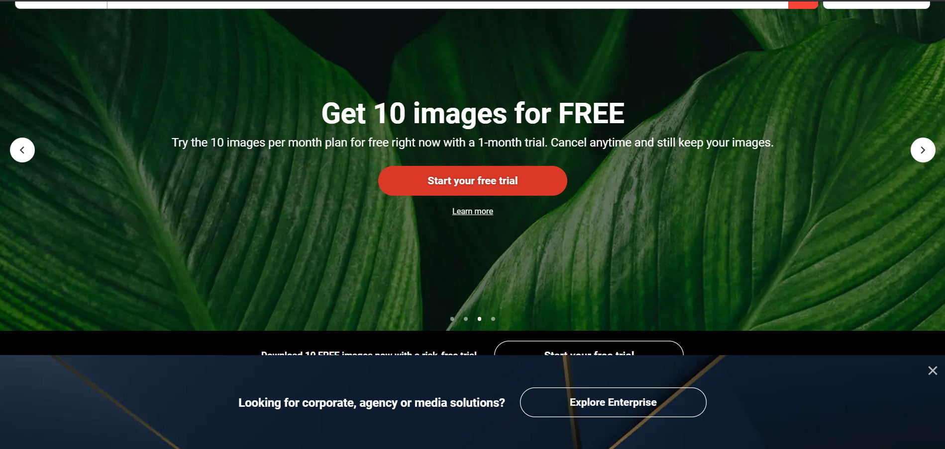 How to Get Free Shutterstock Videos Without Watermarks