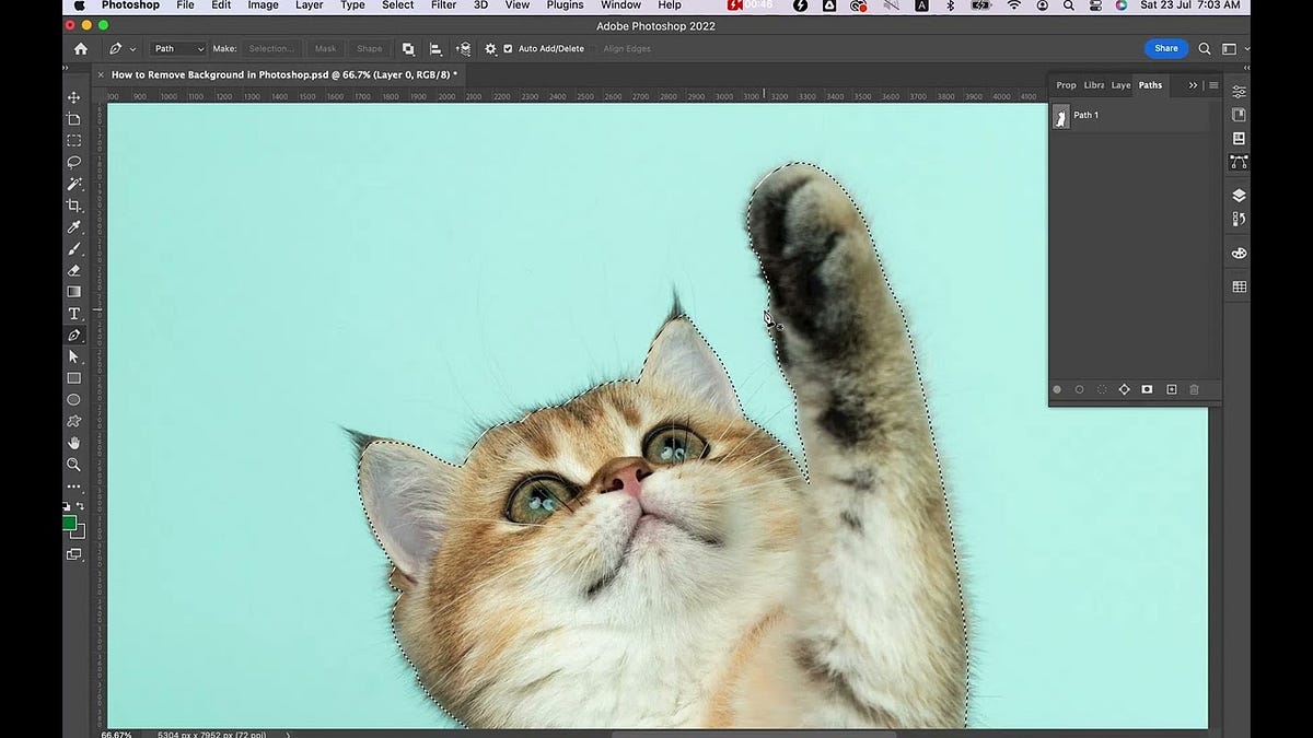 How to Remove Background in Shutterstock Editor for Free