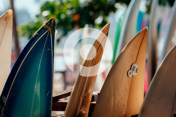How to Add Shutterstock Watermarks to Protect Your Work?