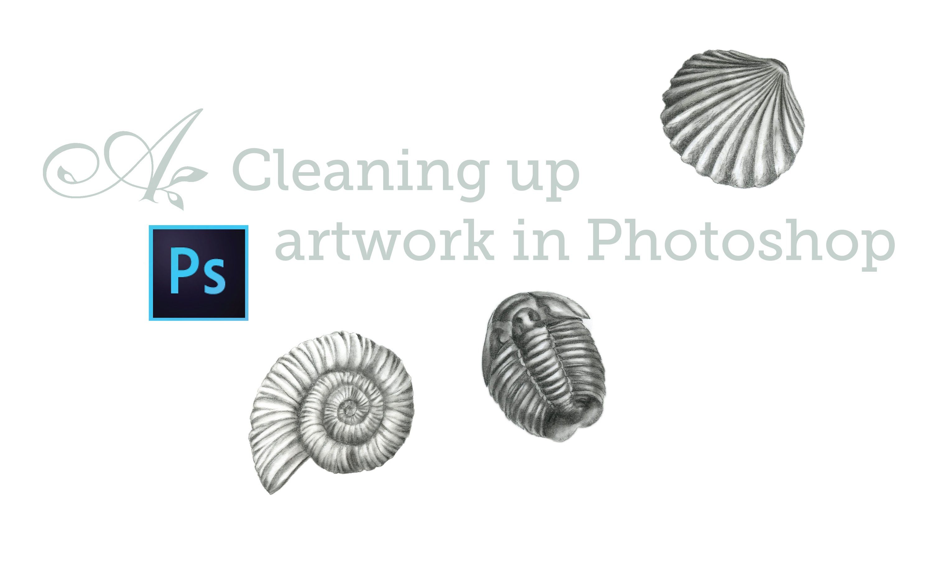 How to clean up your artwork in Photoshop preparing your art for 