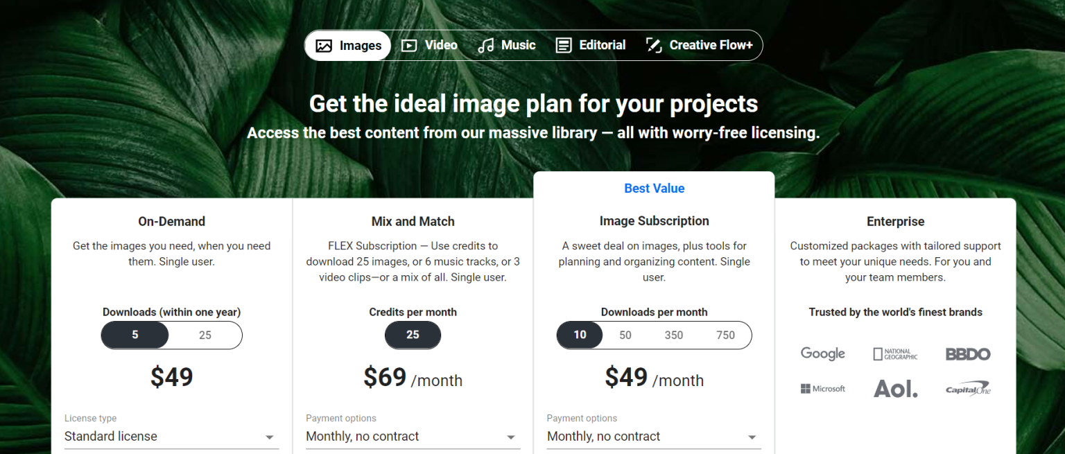 How Much Money Can You Earn on Shutterstock in a Month?