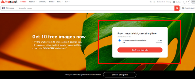 How to Download Shutterstock Photos for Free