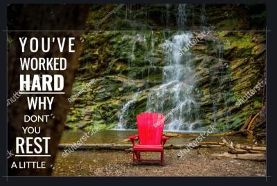 How to Use Shutterstock Images in Your Projects
