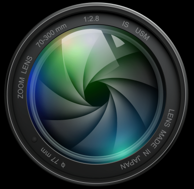 How to Get Transparent Images from Shutterstock