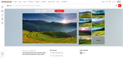 How to Know Who Downloaded Your Shutterstock Content