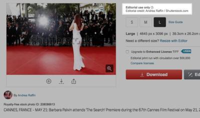 How Much Are Shutterstock Photos for Editorial Use?