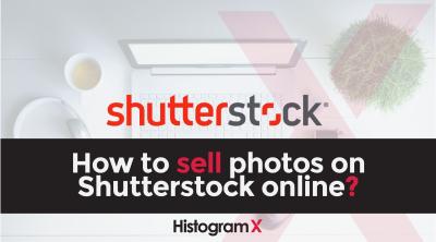 How to Buy One Image from Shutterstock Affordably