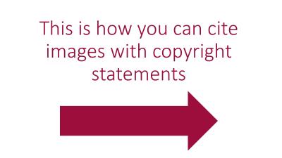 How to Cite Shutterstock in APA for Professional Use