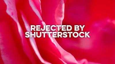How to Challenge a Rejected Photo on Shutterstock?