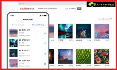 How to Download Shutterstock Videos Without Watermarks in 2018