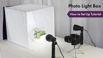 How to Use Shutterstock’s Lightbox for Easy Downloads