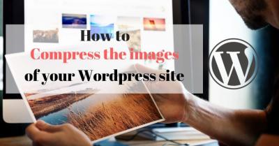 How to Use Shutterstock API in WordPress