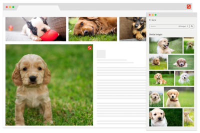 How Does Shutterstock Protect Your Copyrighted Work?