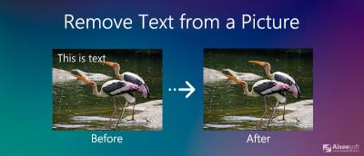How to Remove Text from Shutterstock Images Easily